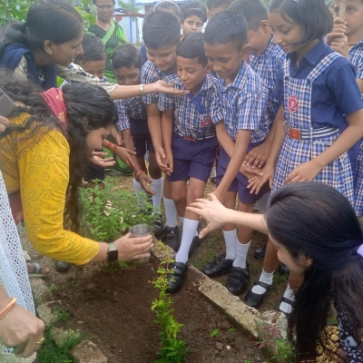 Tree Plantation 